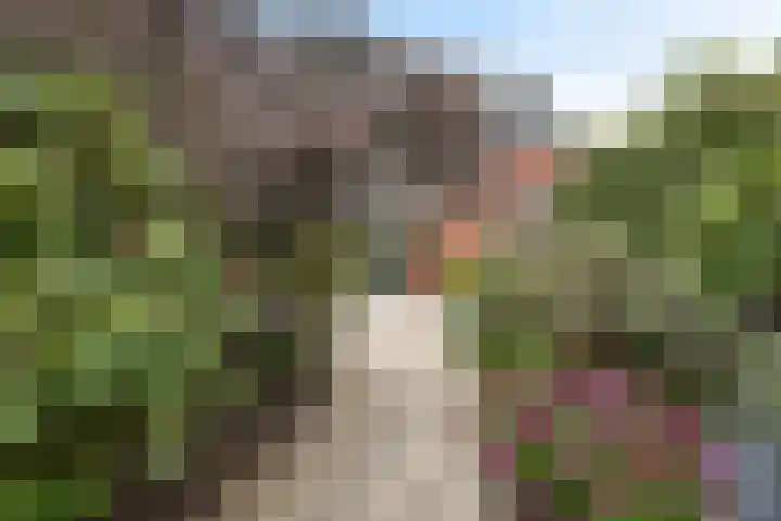 Strijplaan 13 Rijswijk thumbnail 18