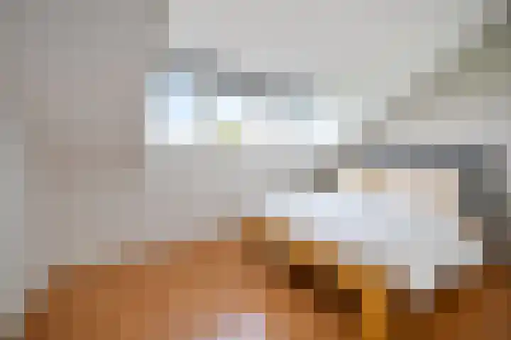Strijplaan 13 Rijswijk thumbnail 31