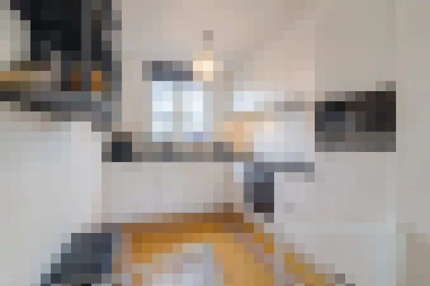 Strijplaan 154 Rijswijk thumbnail 10