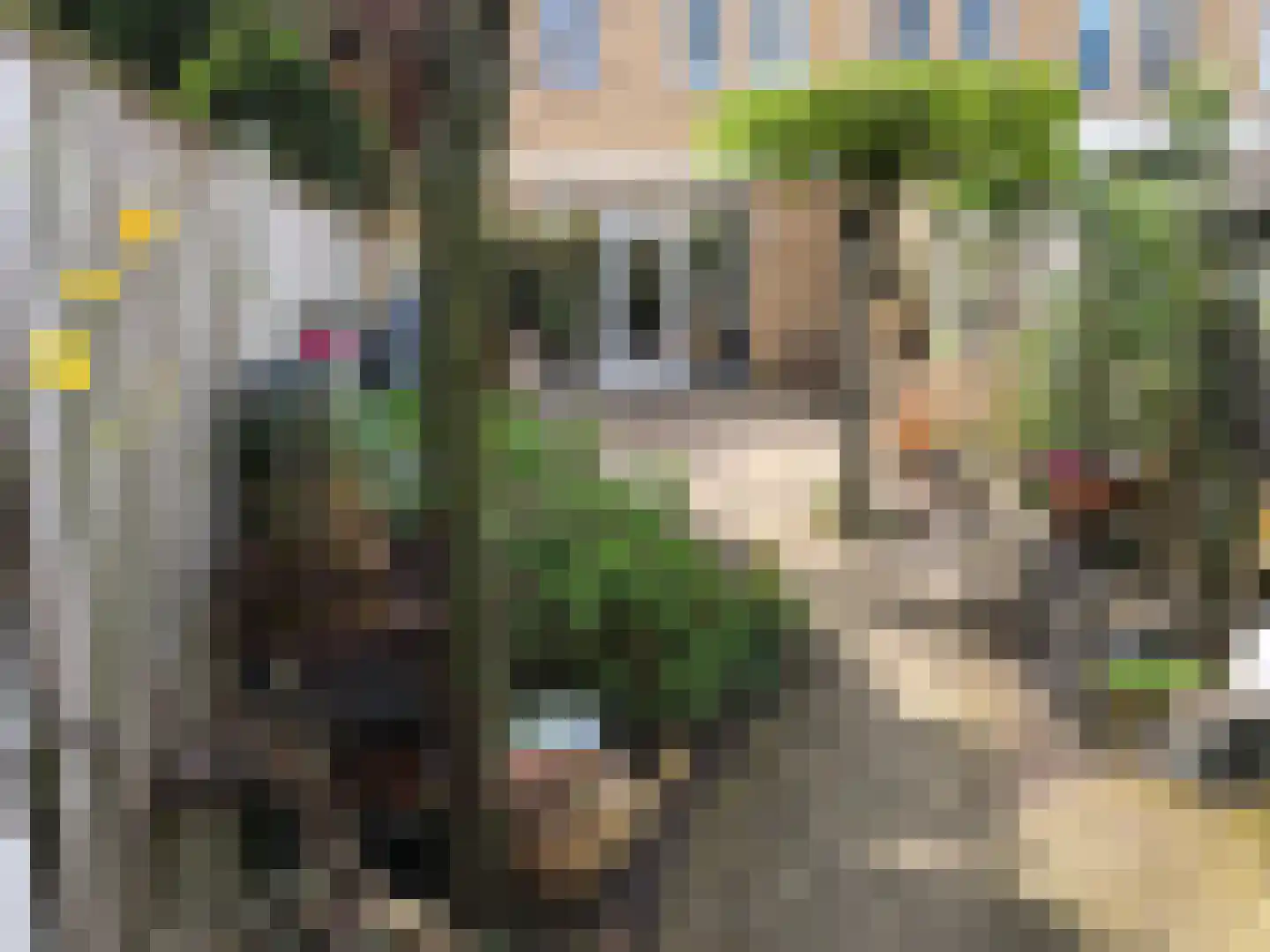 Strijplaan 154 Rijswijk thumbnail 34