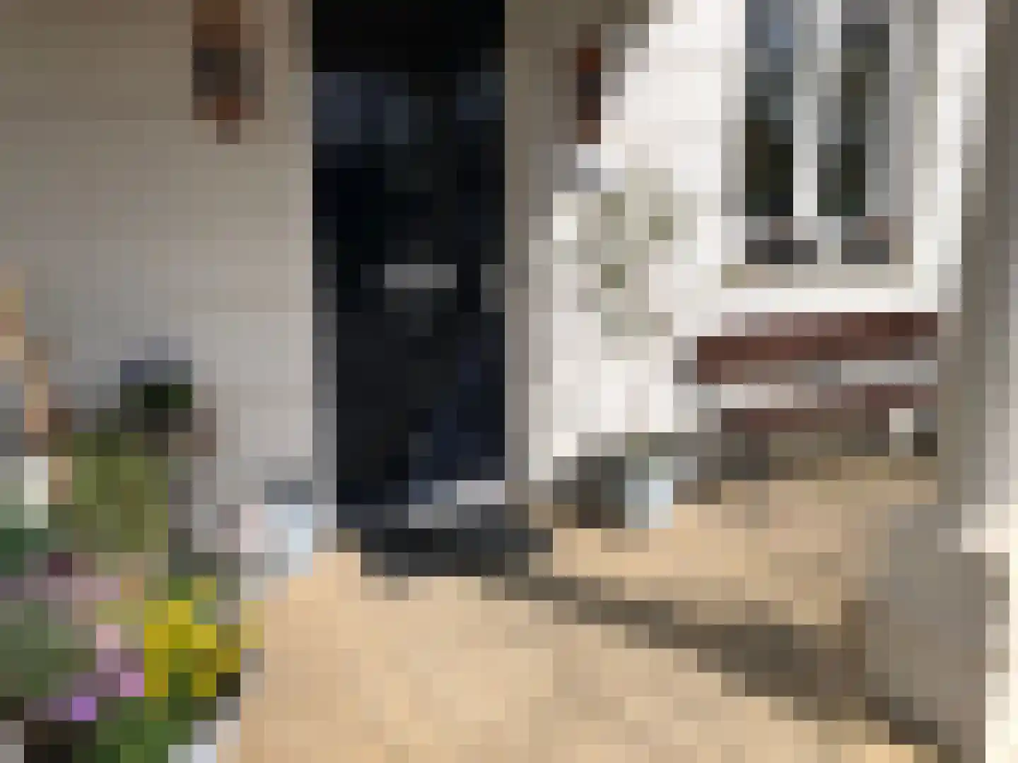 Strijplaan 154 Rijswijk thumbnail 35