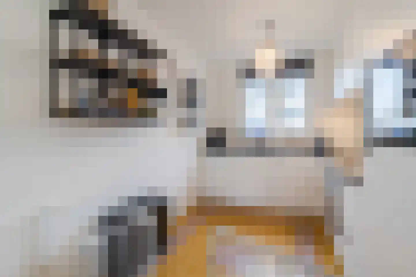 Strijplaan 154 Rijswijk thumbnail 9
