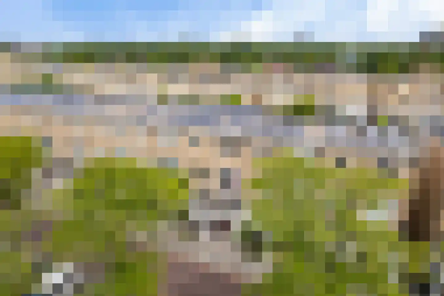 Strijplaan 202 Rijswijk thumbnail 6