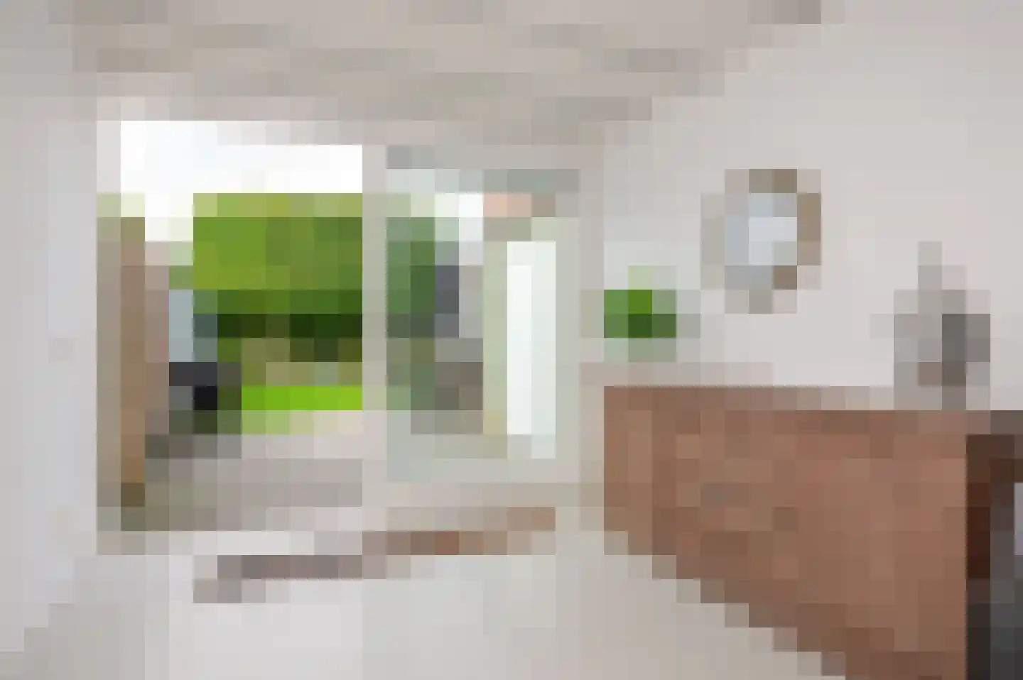 Strijplaan 275 Rijswijk thumbnail 23