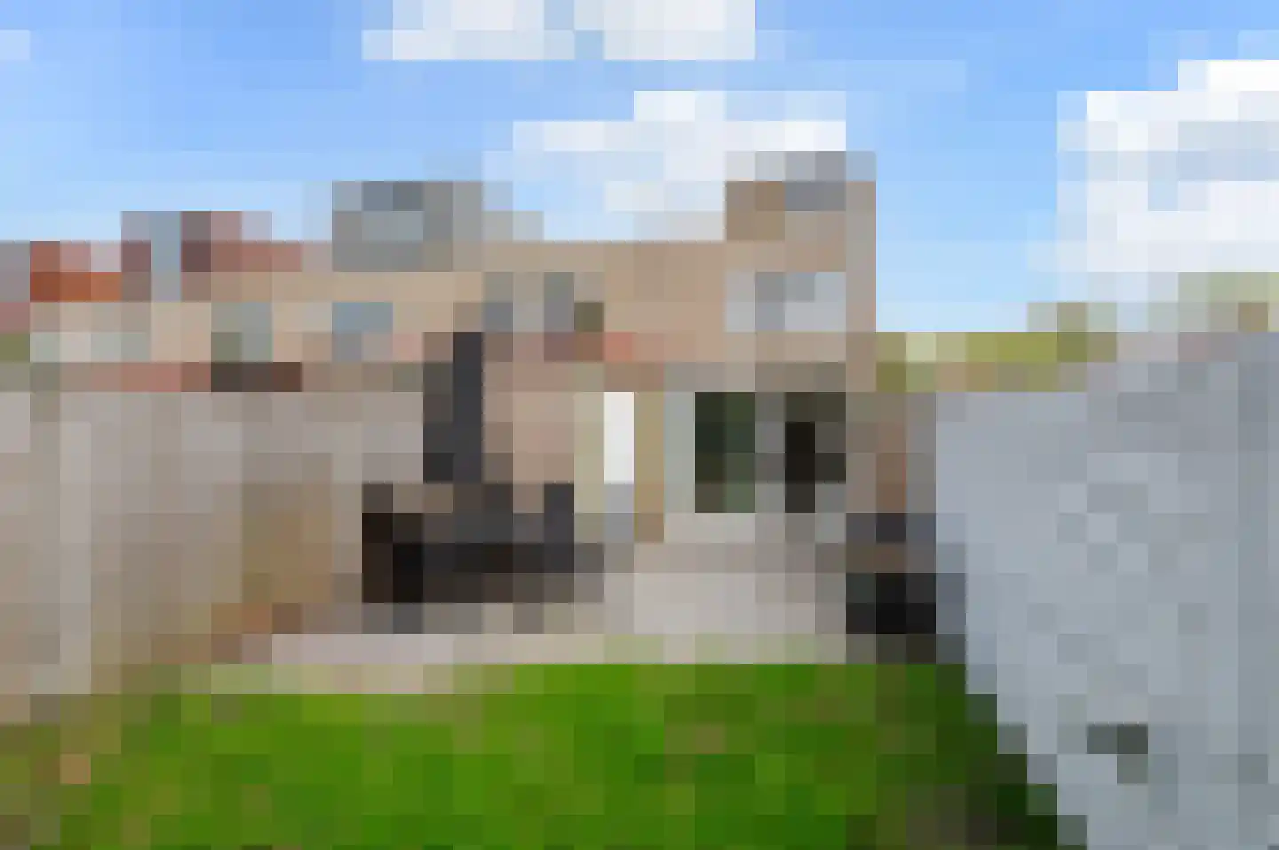 Strijplaan 275 Rijswijk thumbnail 26