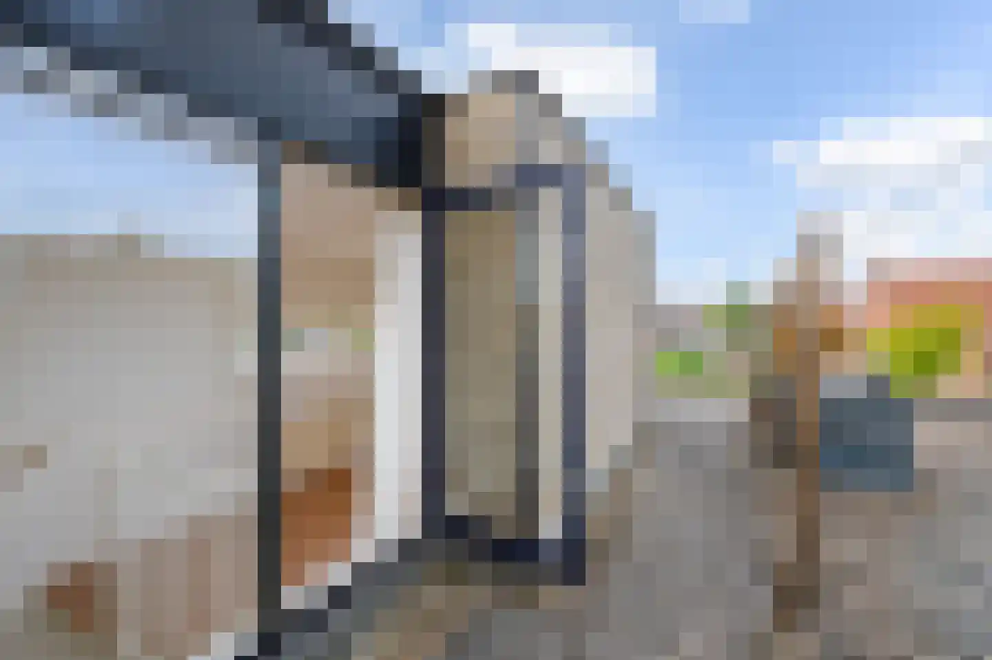 Strijplaan 275 Rijswijk thumbnail 56