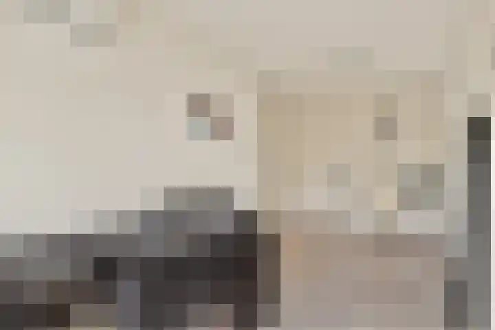 Strijplaan 303 Rijswijk thumbnail 20