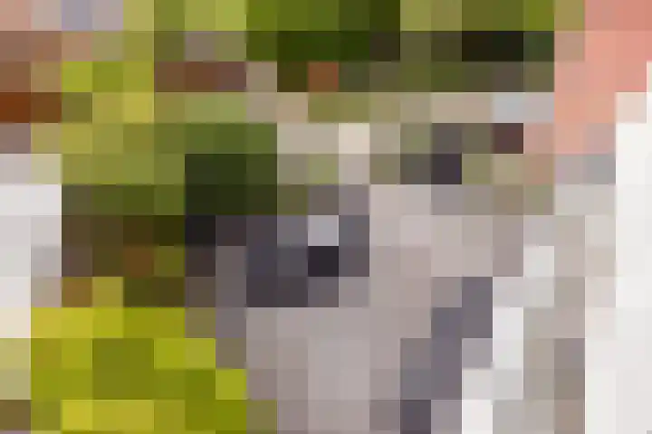 Strijplaan 303 Rijswijk thumbnail 21