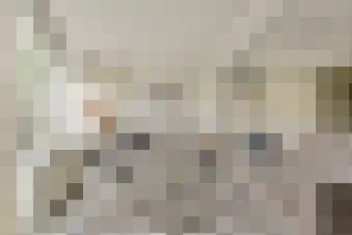 Strijplaan 303 Rijswijk thumbnail 5