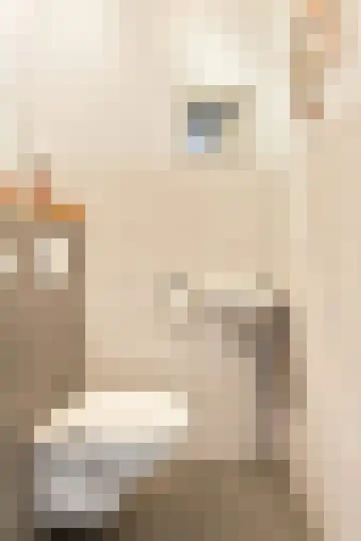 Strijplaan 303 Rijswijk thumbnail 9