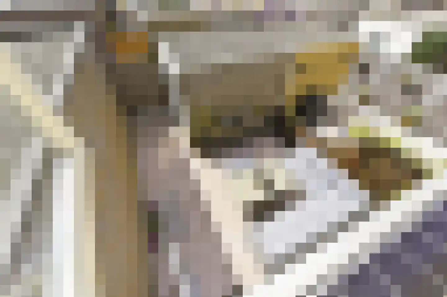 Strijplaan 339 Rijswijk thumbnail 35