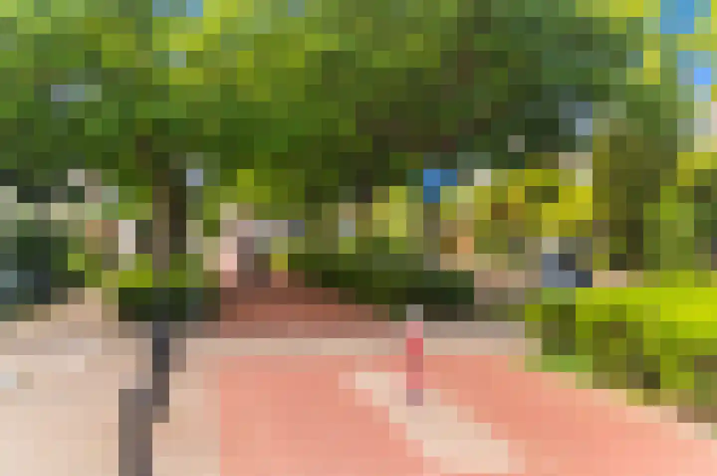 Strijplaan 339 Rijswijk thumbnail 41