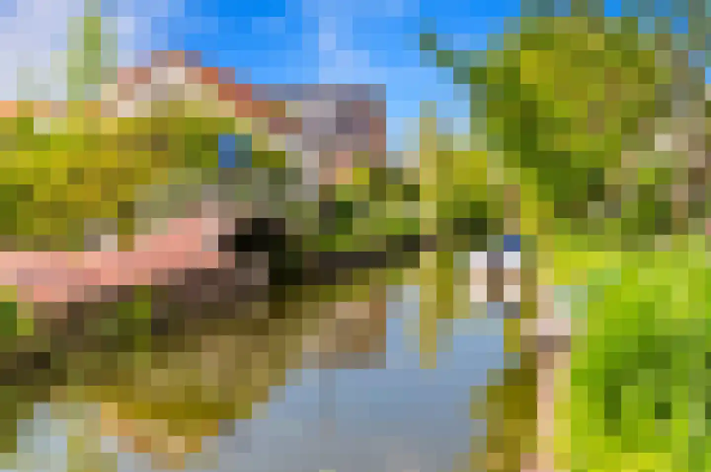 Strijplaan 339 Rijswijk thumbnail 43