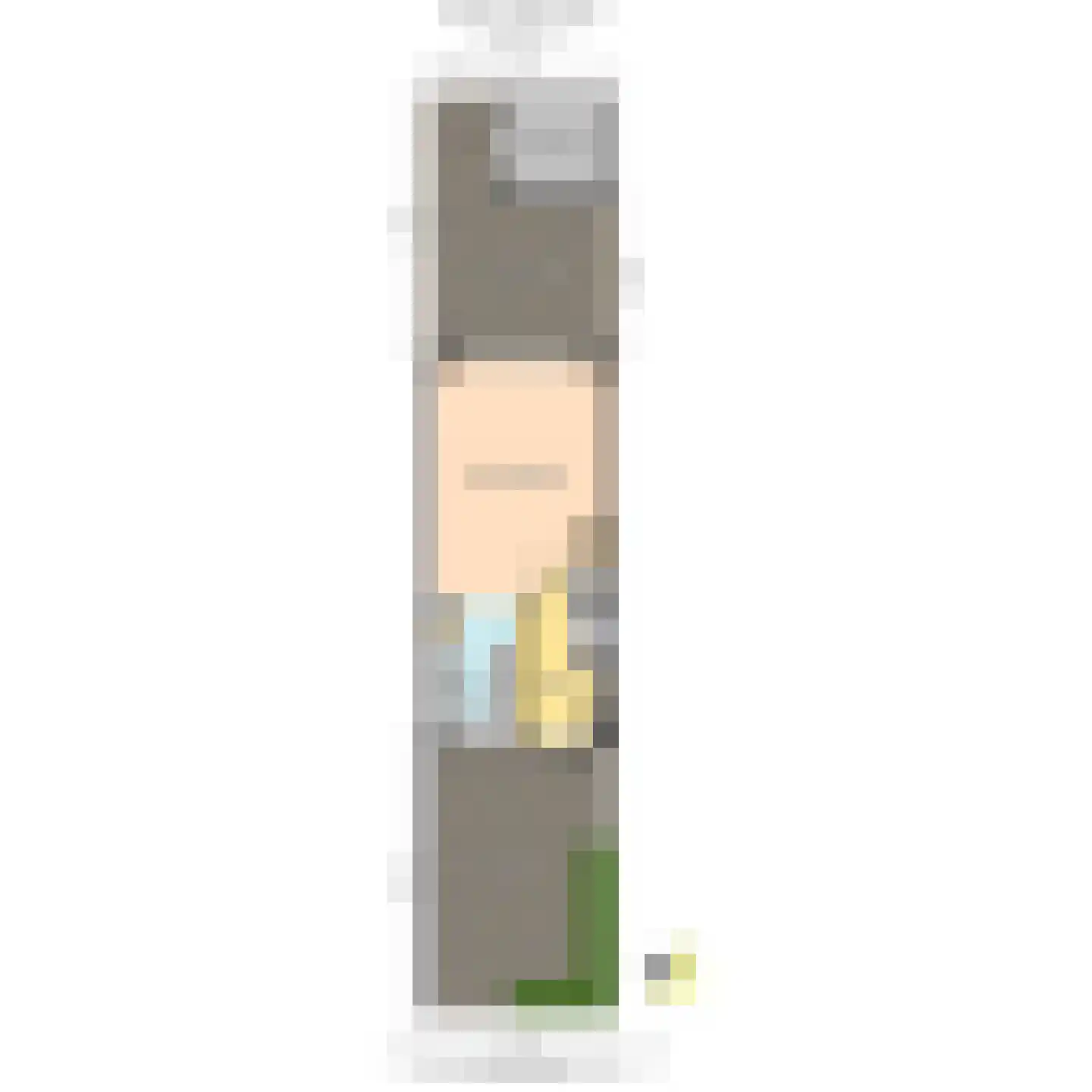 Strijplaan 339 Rijswijk thumbnail 49