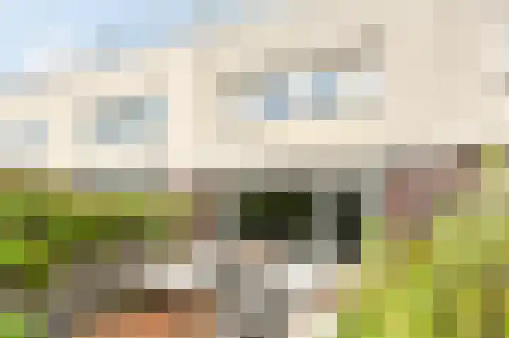 Strijplaan 343 Rijswijk thumbnail 18