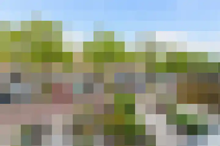 Strijplaan 343 Rijswijk thumbnail 37