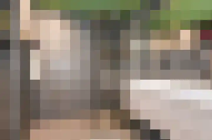 Strijplaan 343 Rijswijk thumbnail 38