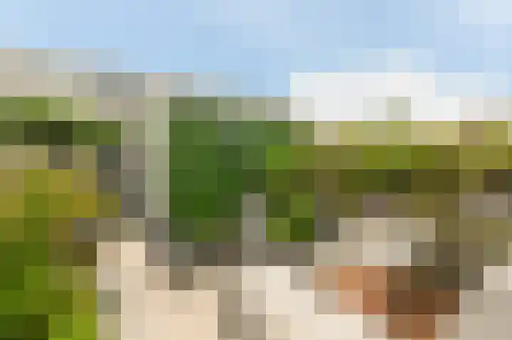 Strijplaan 343 Rijswijk thumbnail 4