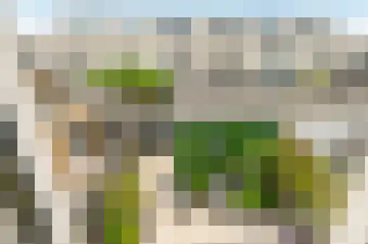 Strijplaan 343 Rijswijk thumbnail 44