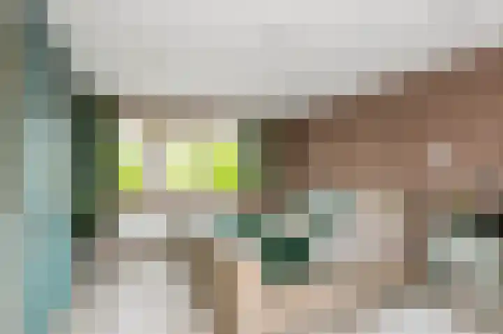 Strijplaan 343 Rijswijk thumbnail 46