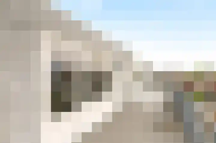 Strijplaan 343 Rijswijk thumbnail 50