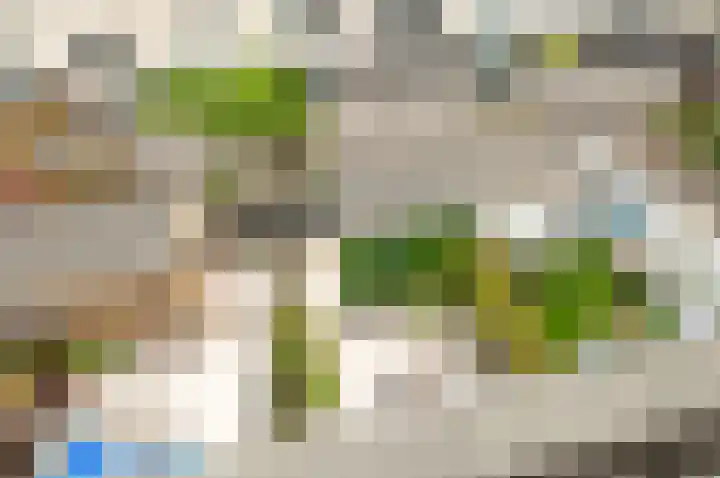 Strijplaan 343 Rijswijk thumbnail 53