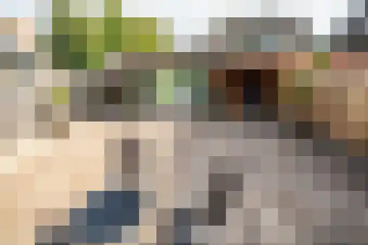 Strijplaan 387 Rijswijk thumbnail 15