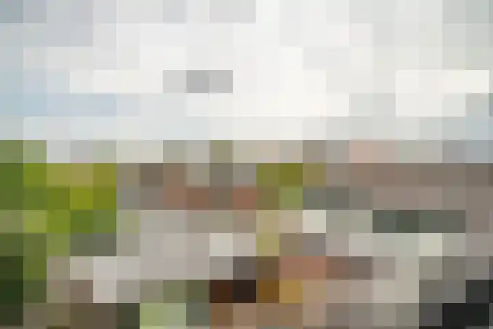 Strijplaan 387 Rijswijk thumbnail 40