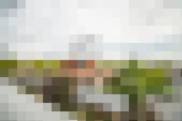 Strijplaan 387 Rijswijk thumbnail 41