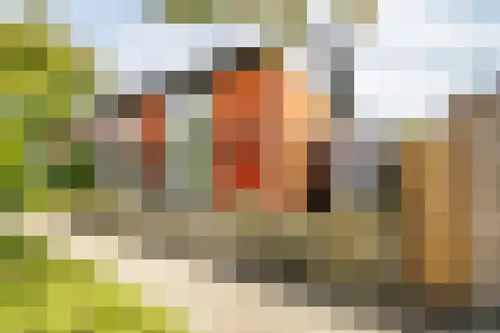 Strijplaan 387 Rijswijk thumbnail 45