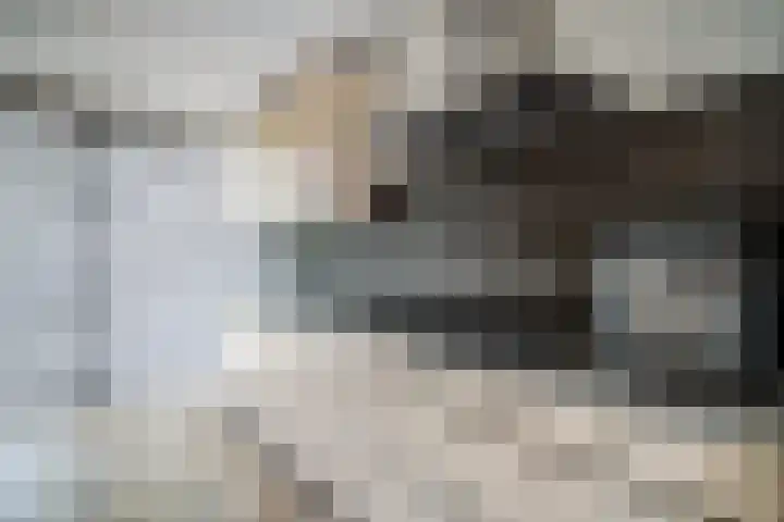 Strijplaan 387 Rijswijk thumbnail 5