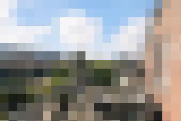 Strijplaan 397 Rijswijk thumbnail 19