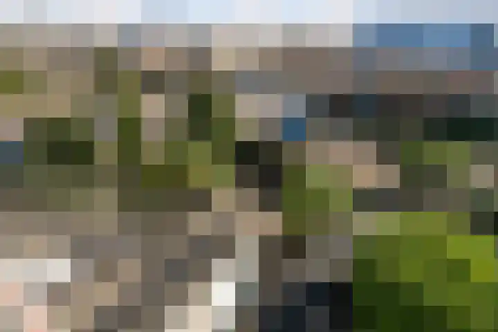 Strijplaan 397 Rijswijk thumbnail 31