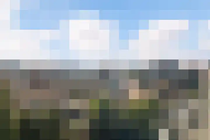 Strijplaan 397 Rijswijk thumbnail 32