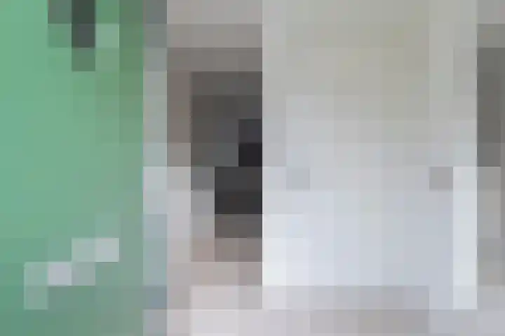 Strijplaan 479 Rijswijk thumbnail 6