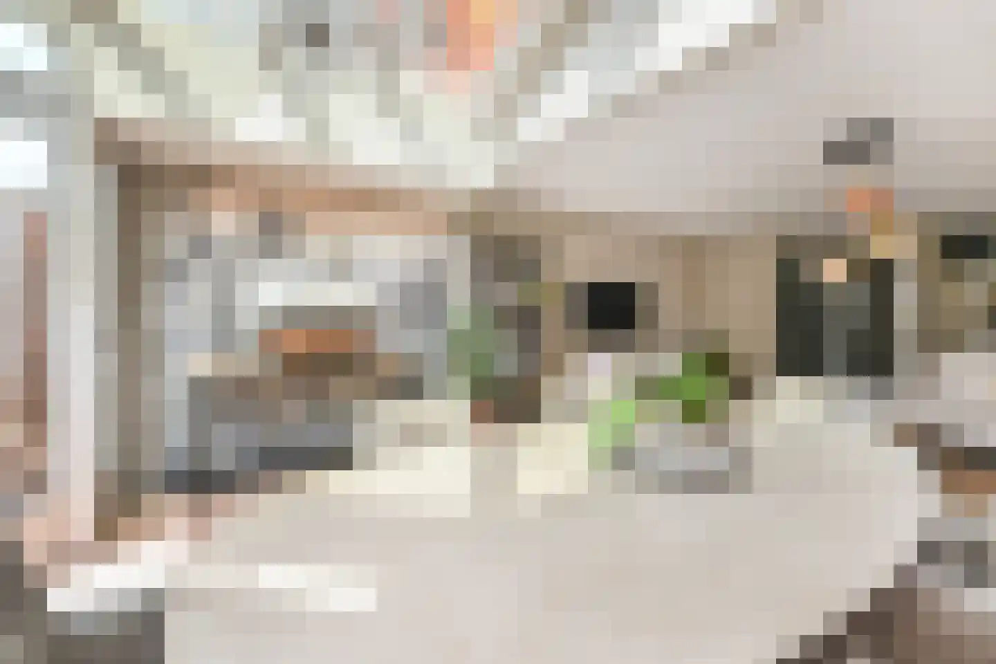 Strijplaan 507 Rijswijk thumbnail 11