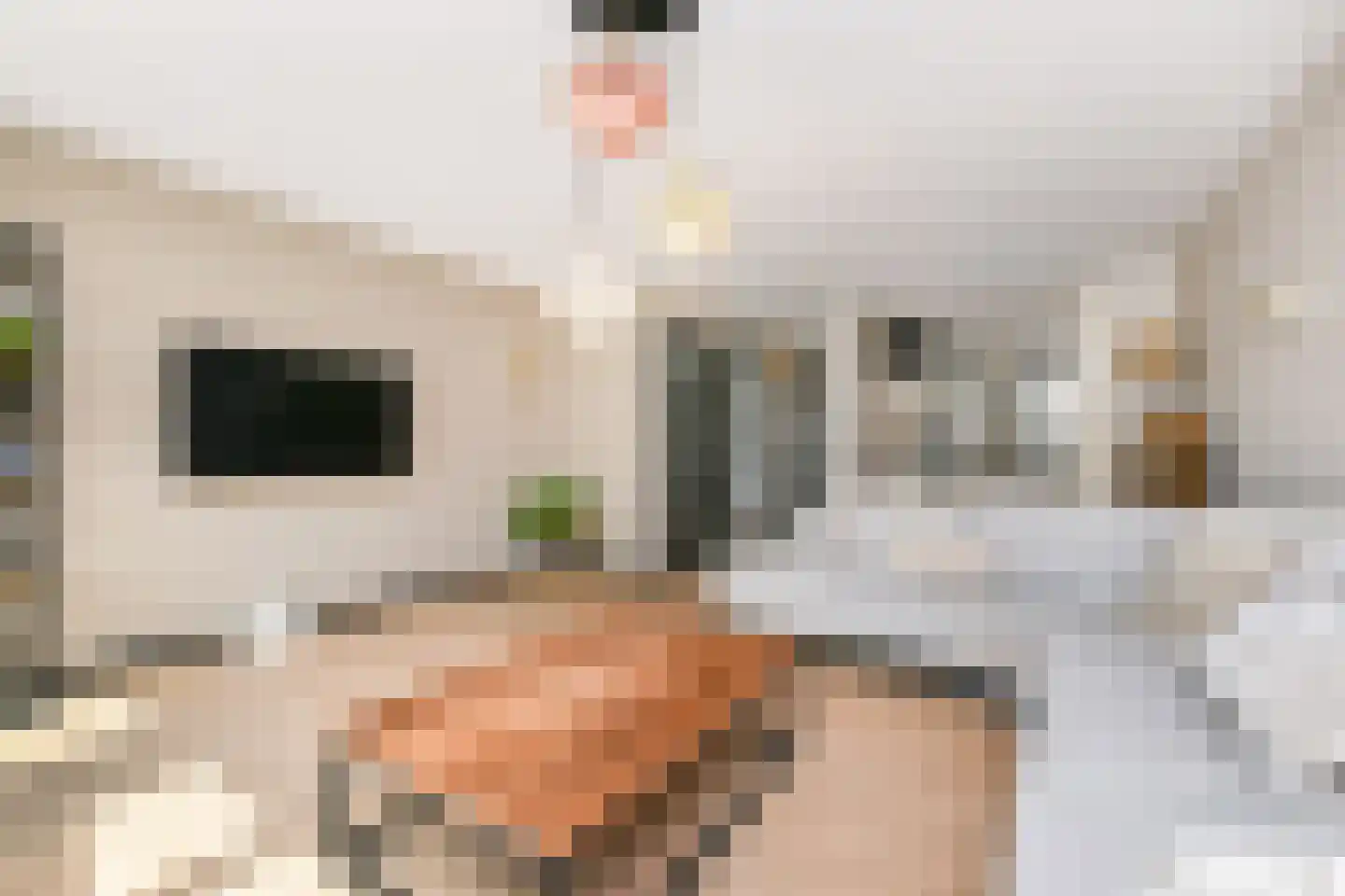 Strijplaan 507 Rijswijk thumbnail 5