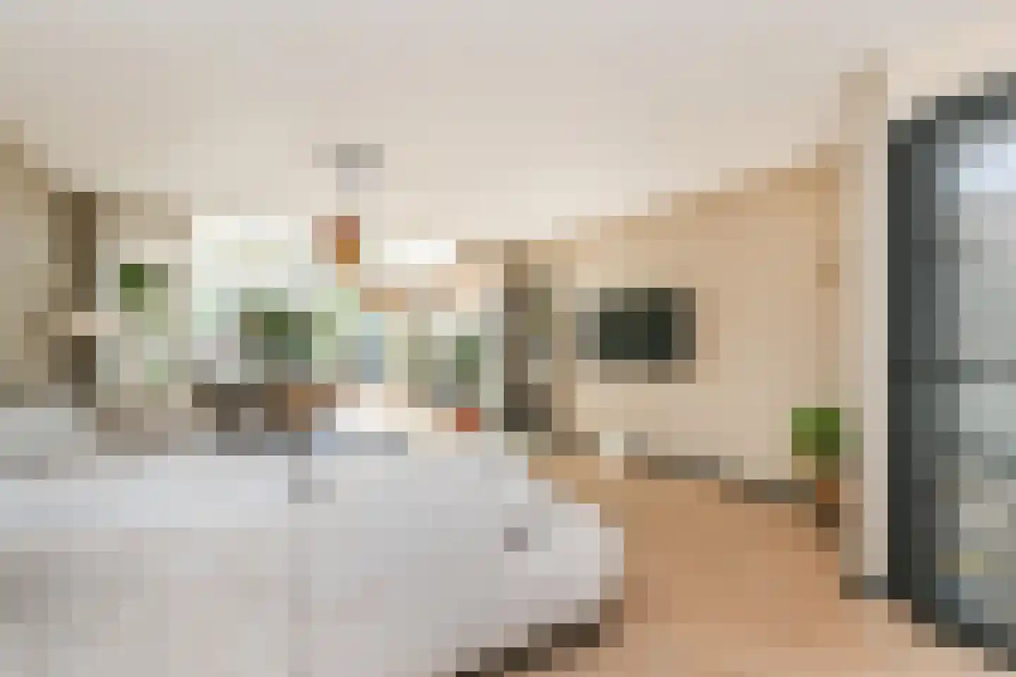 Strijplaan 507 Rijswijk thumbnail 7