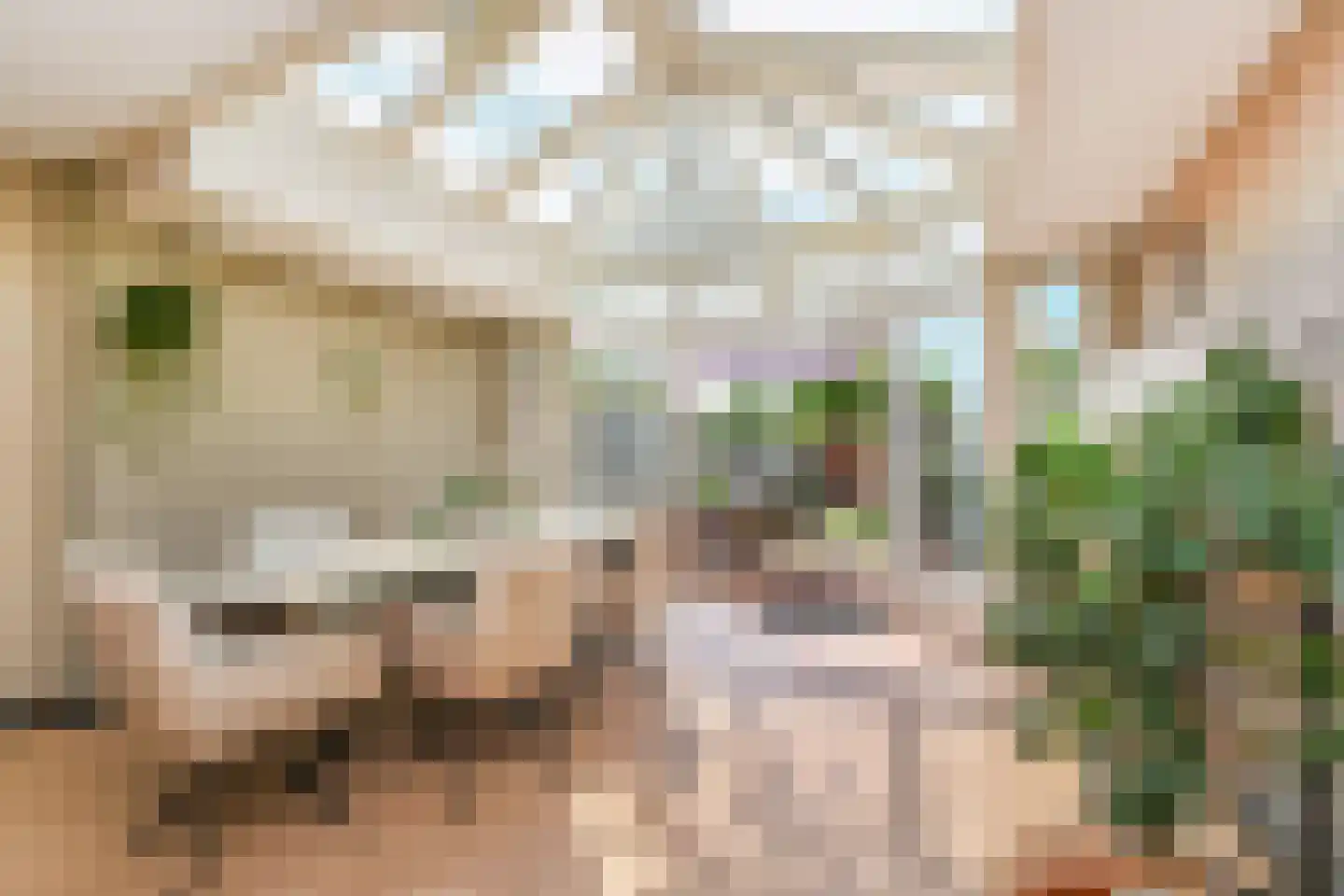Strijplaan 507 Rijswijk thumbnail 8