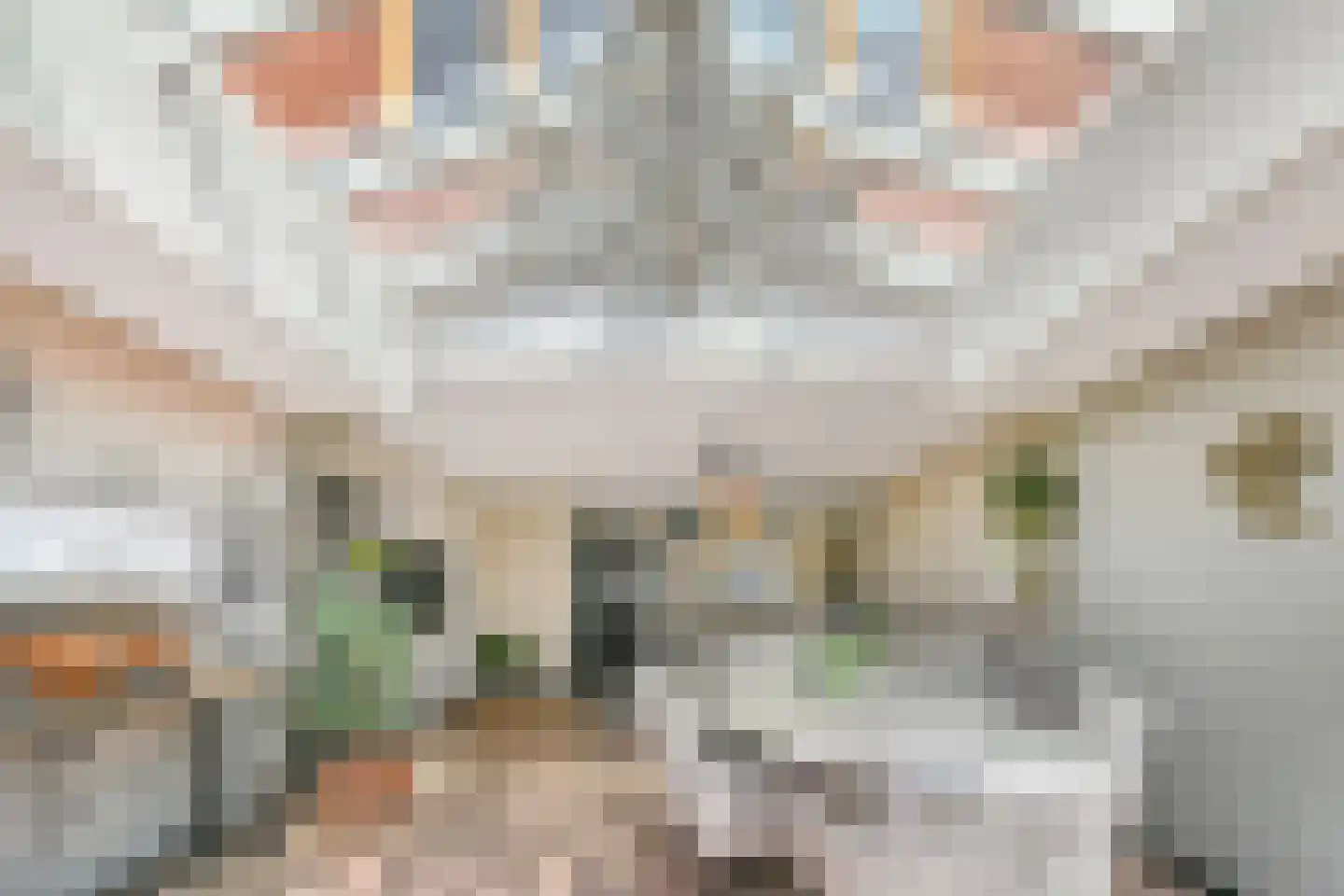Strijplaan 507 Rijswijk thumbnail 9