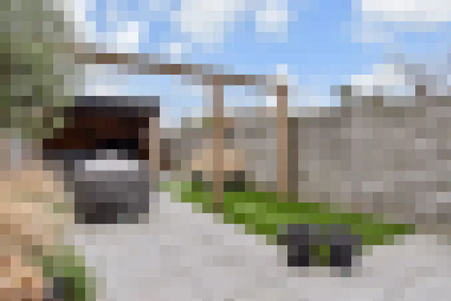Strijplaan 509 Rijswijk thumbnail 12