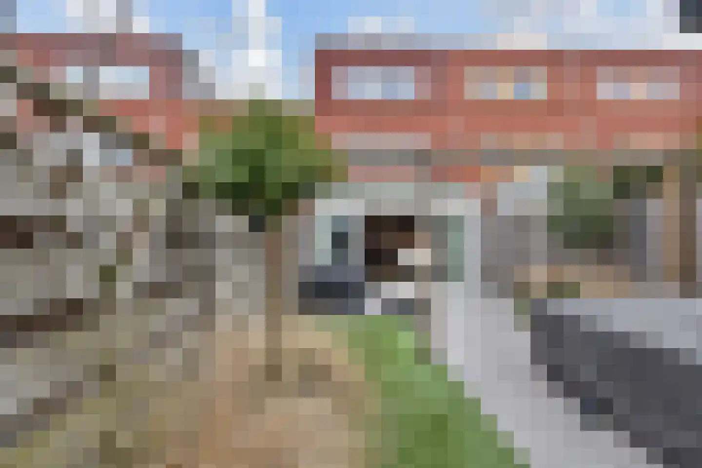 Strijplaan 509 Rijswijk thumbnail 14