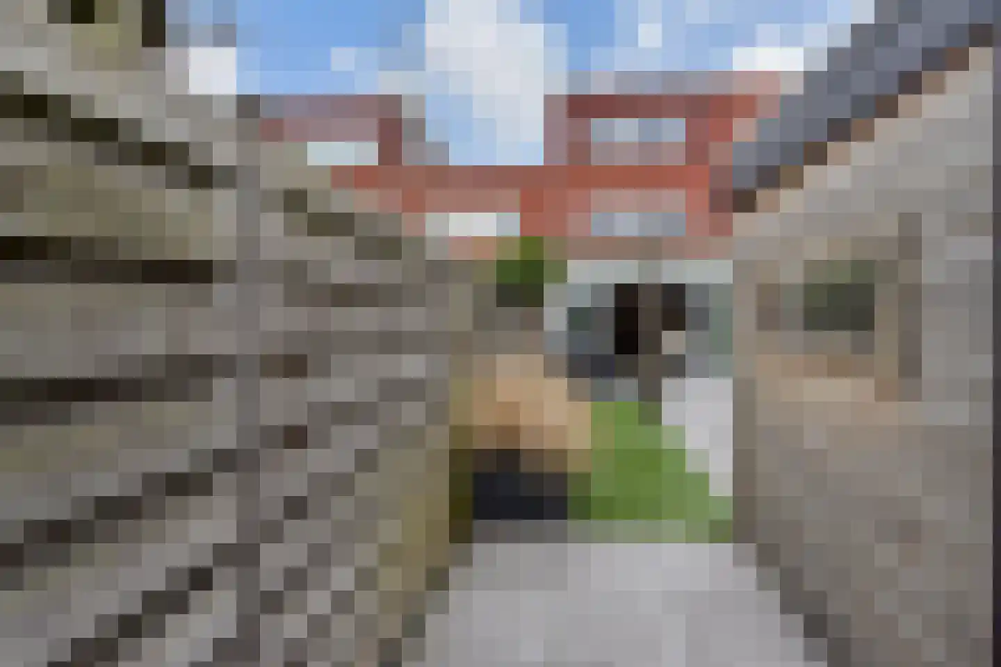 Strijplaan 509 Rijswijk thumbnail 15