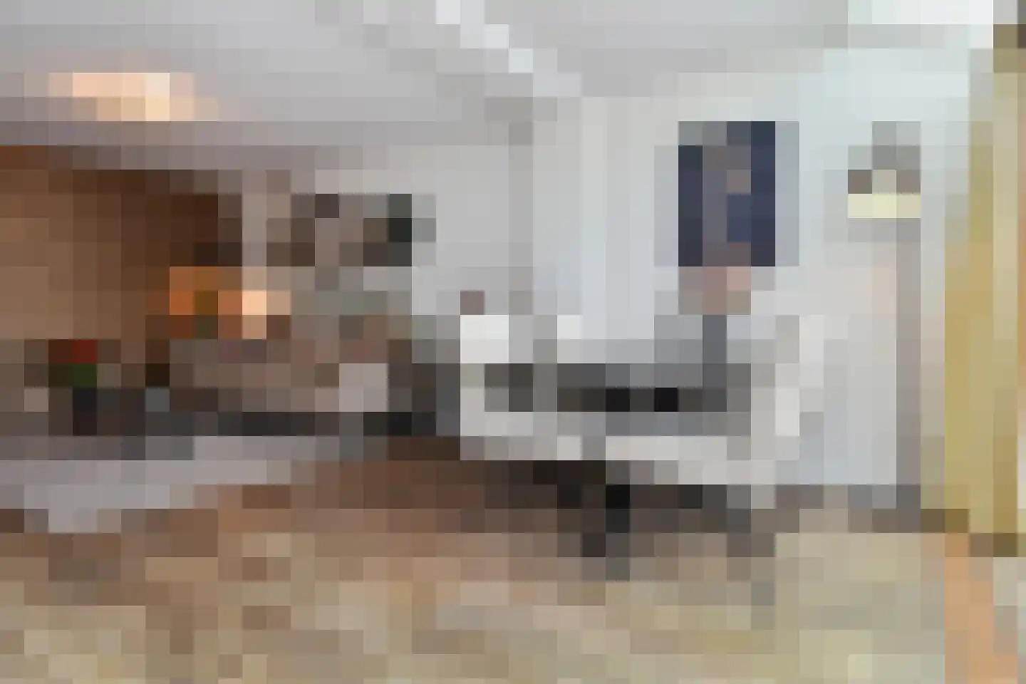 Strijplaan 509 Rijswijk thumbnail 16