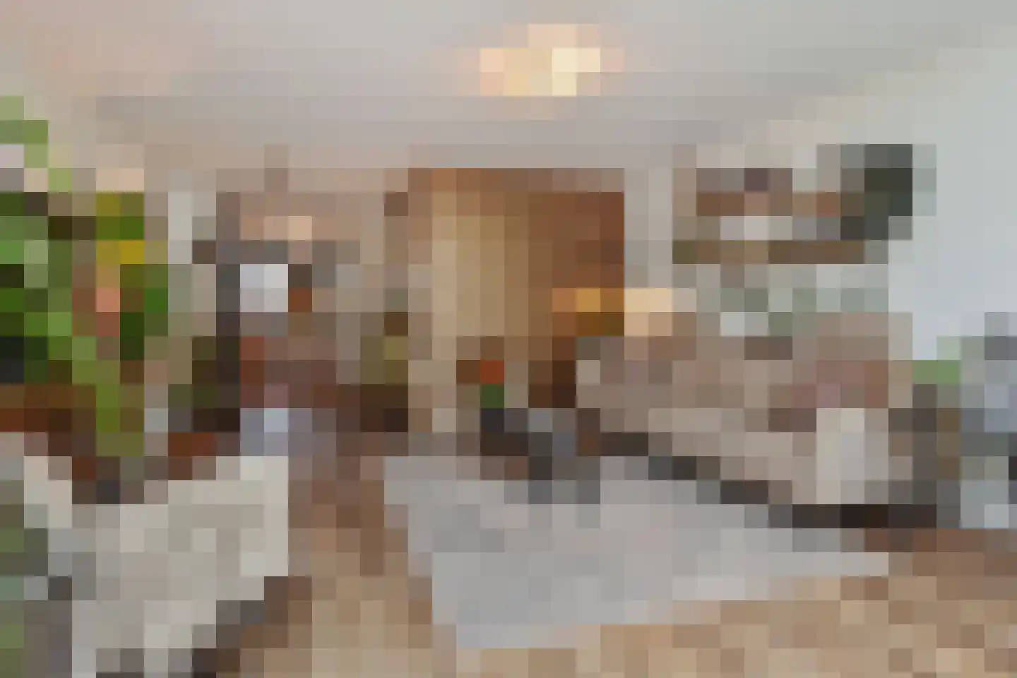 Strijplaan 509 Rijswijk thumbnail 17