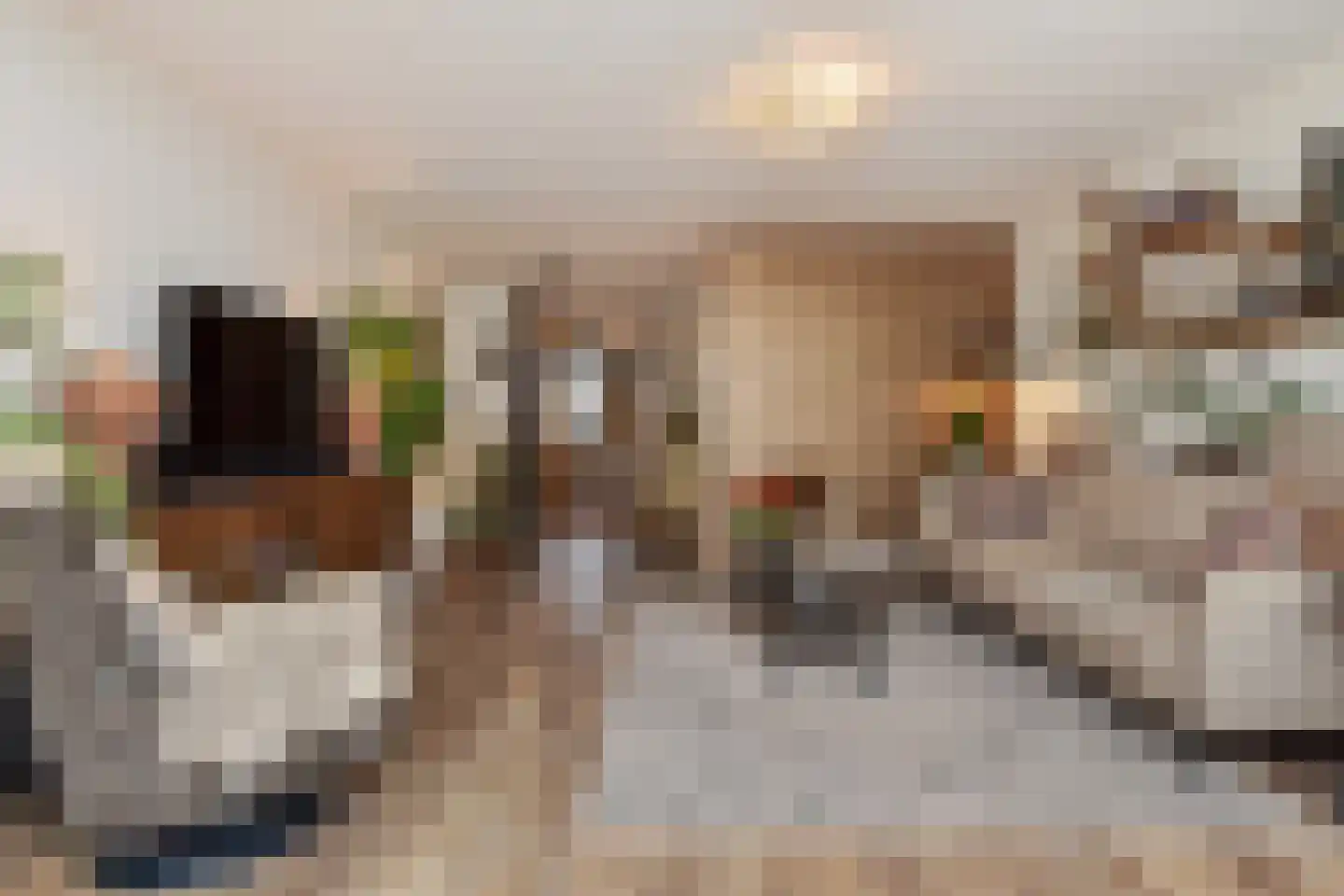 Strijplaan 509 Rijswijk thumbnail 18