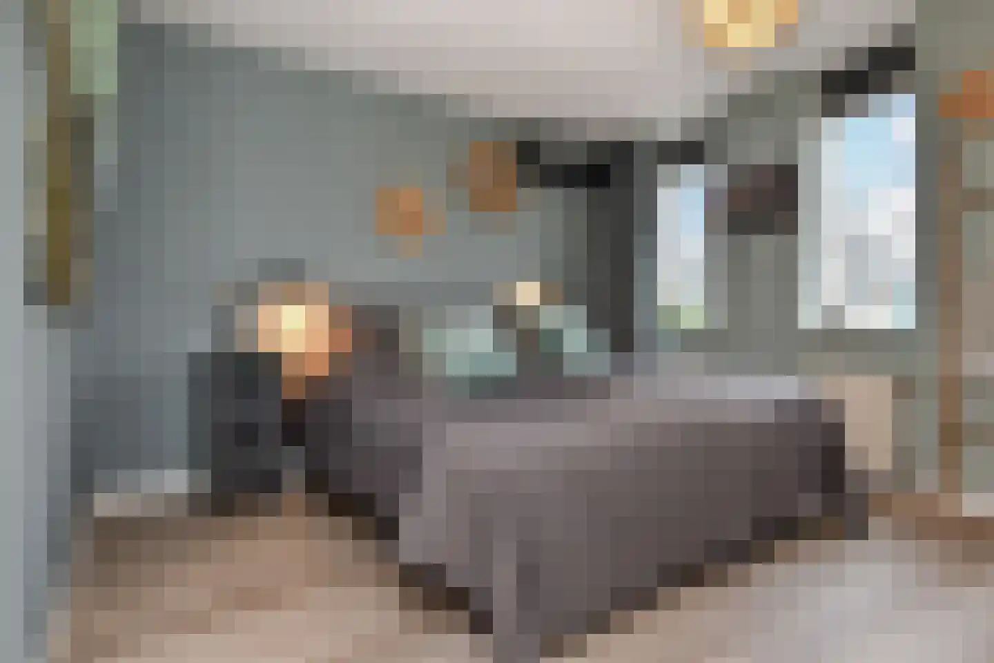 Strijplaan 509 Rijswijk thumbnail 25