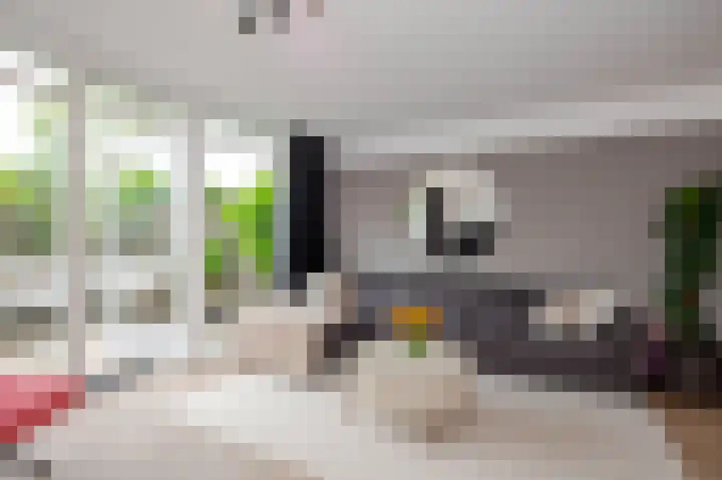 Strijplaan 533 Rijswijk thumbnail 12