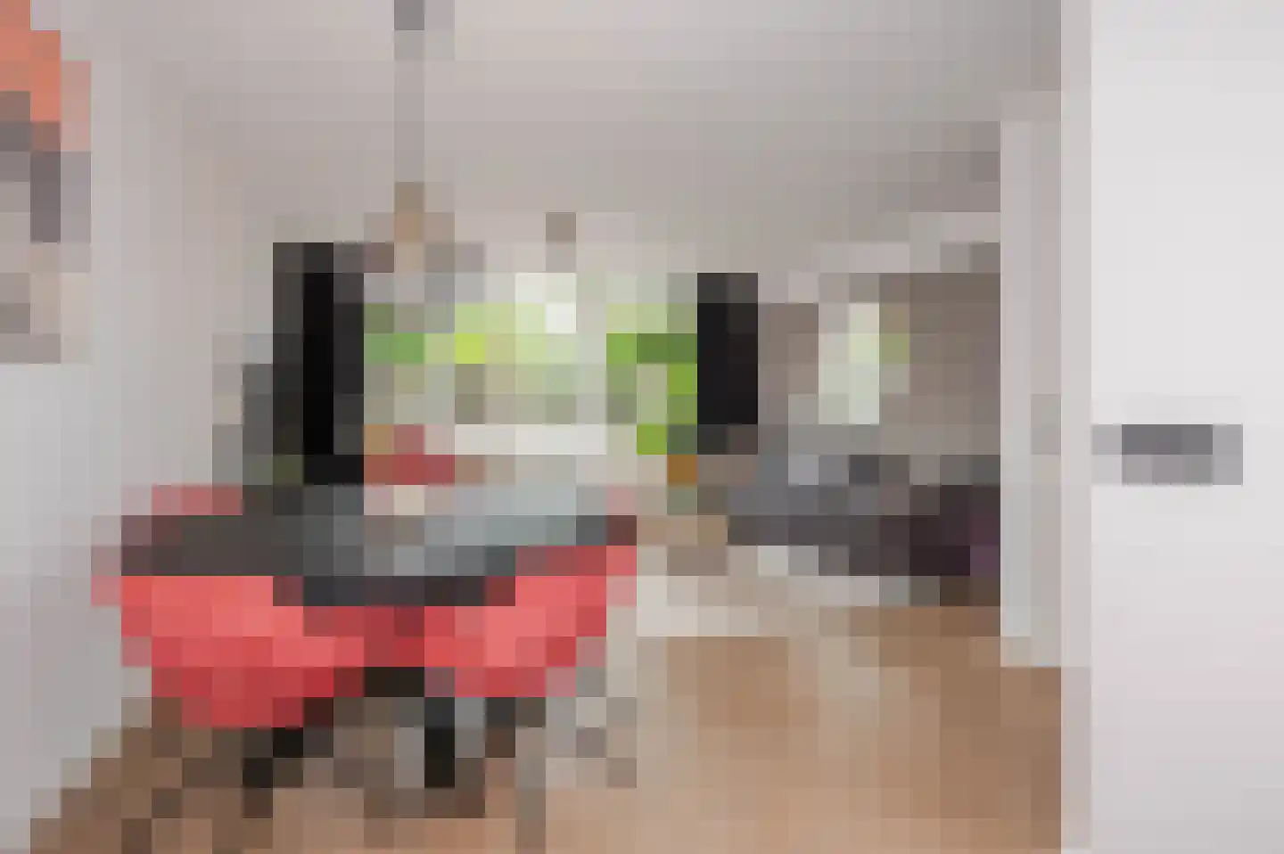 Strijplaan 533 Rijswijk thumbnail 25