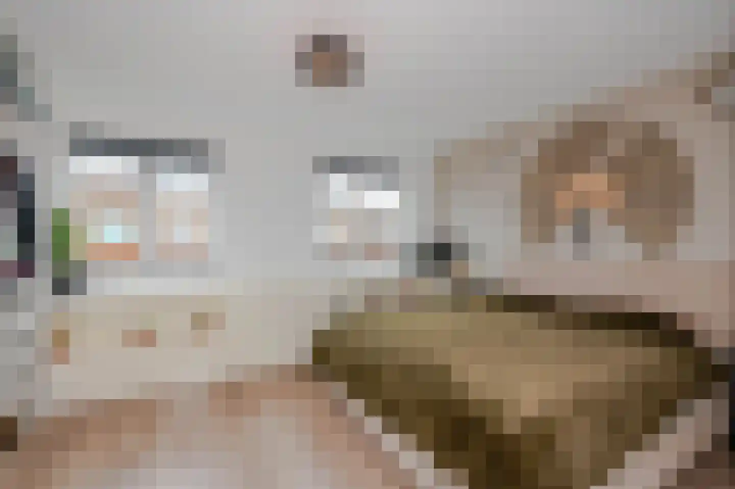 Strijplaan 533 Rijswijk thumbnail 41